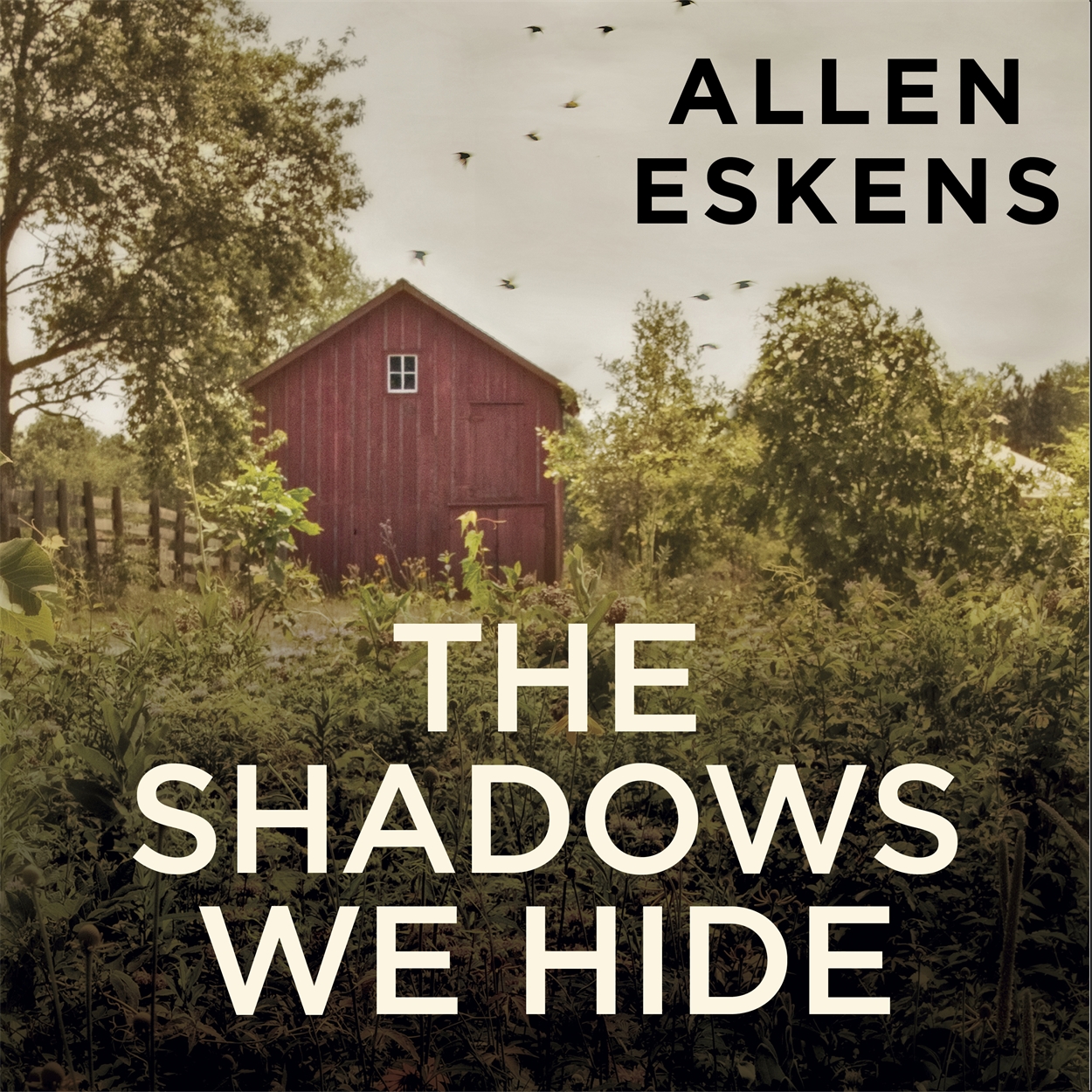 The Shadows We Hide by Allen Eskens | Hachette UK