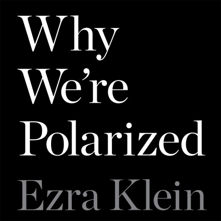 Why We're Polarized