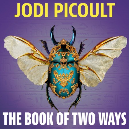 The Book of Two Ways: The stunning bestseller about life, death and missed opportunities