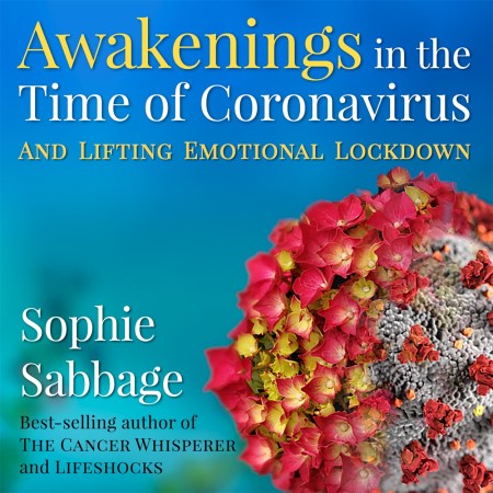 Awakenings in the Time of Coronavirus