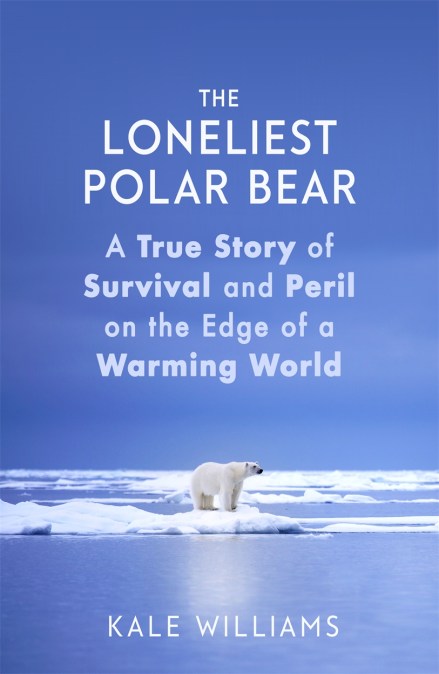 The Loneliest Polar Bear