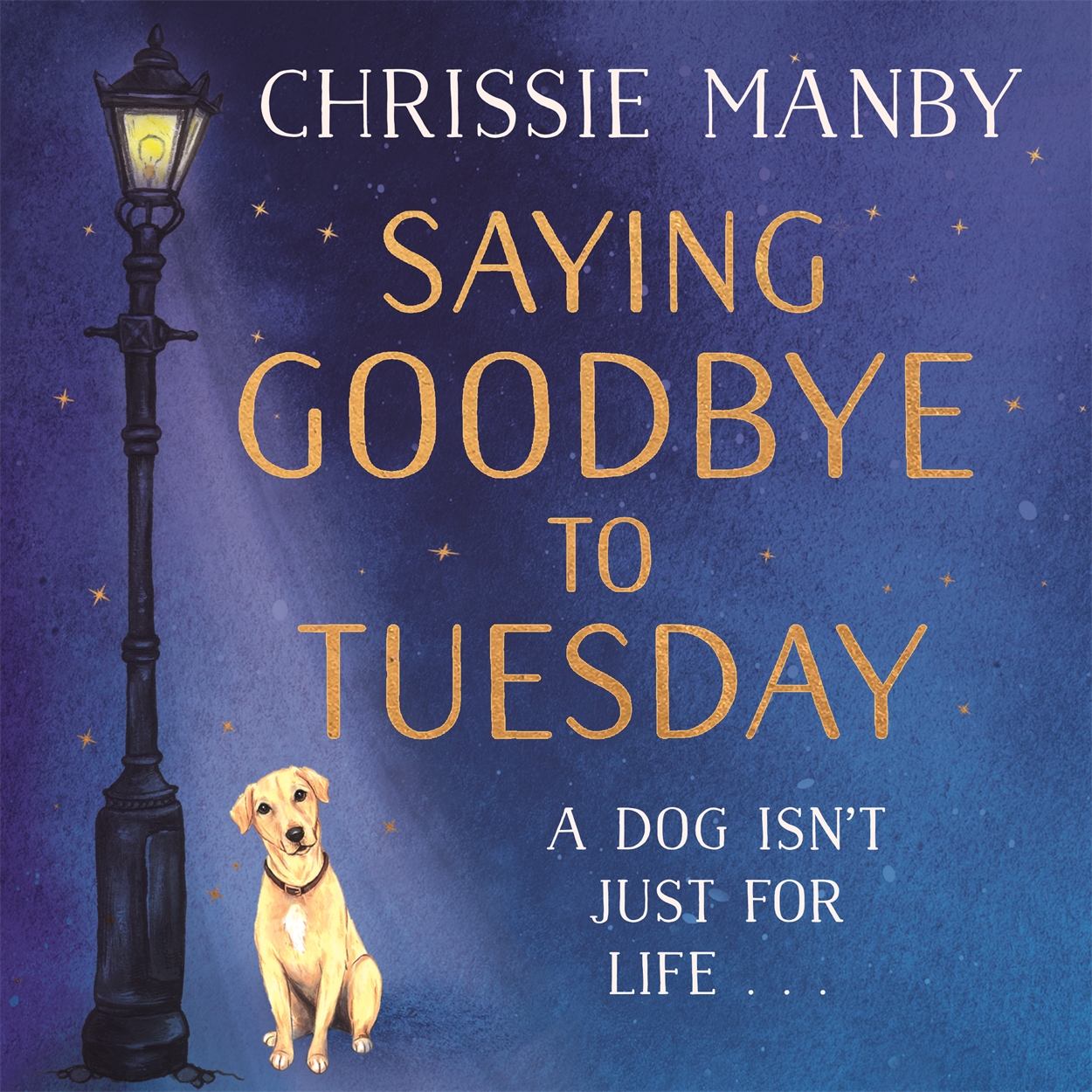 Just In Case by Chrissie Manby