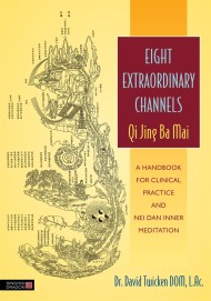 Eight Extraordinary Channels – Qi Jing Ba Mai