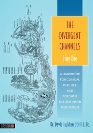 The Divergent Channels – Jing Bie