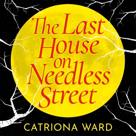 The Last House on Needless Street