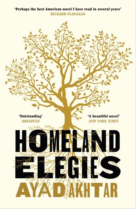 Homeland Elegies