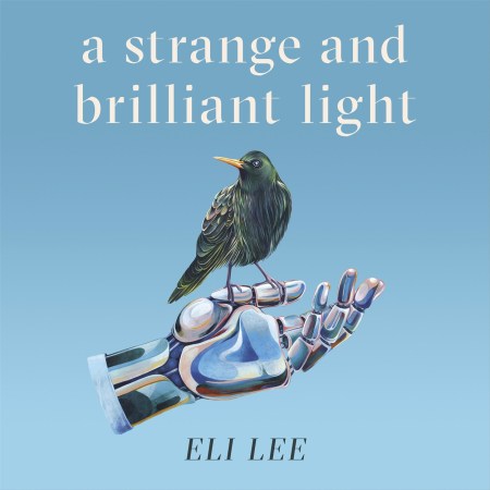 A Strange and Brilliant Light: Winner of the Writers’ Guild Best First Novel Award