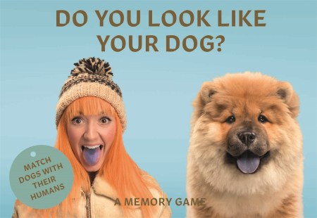 Do You Look Like Your Dog?