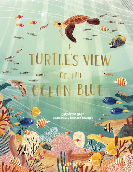 A Turtle’s View of the Ocean Blue