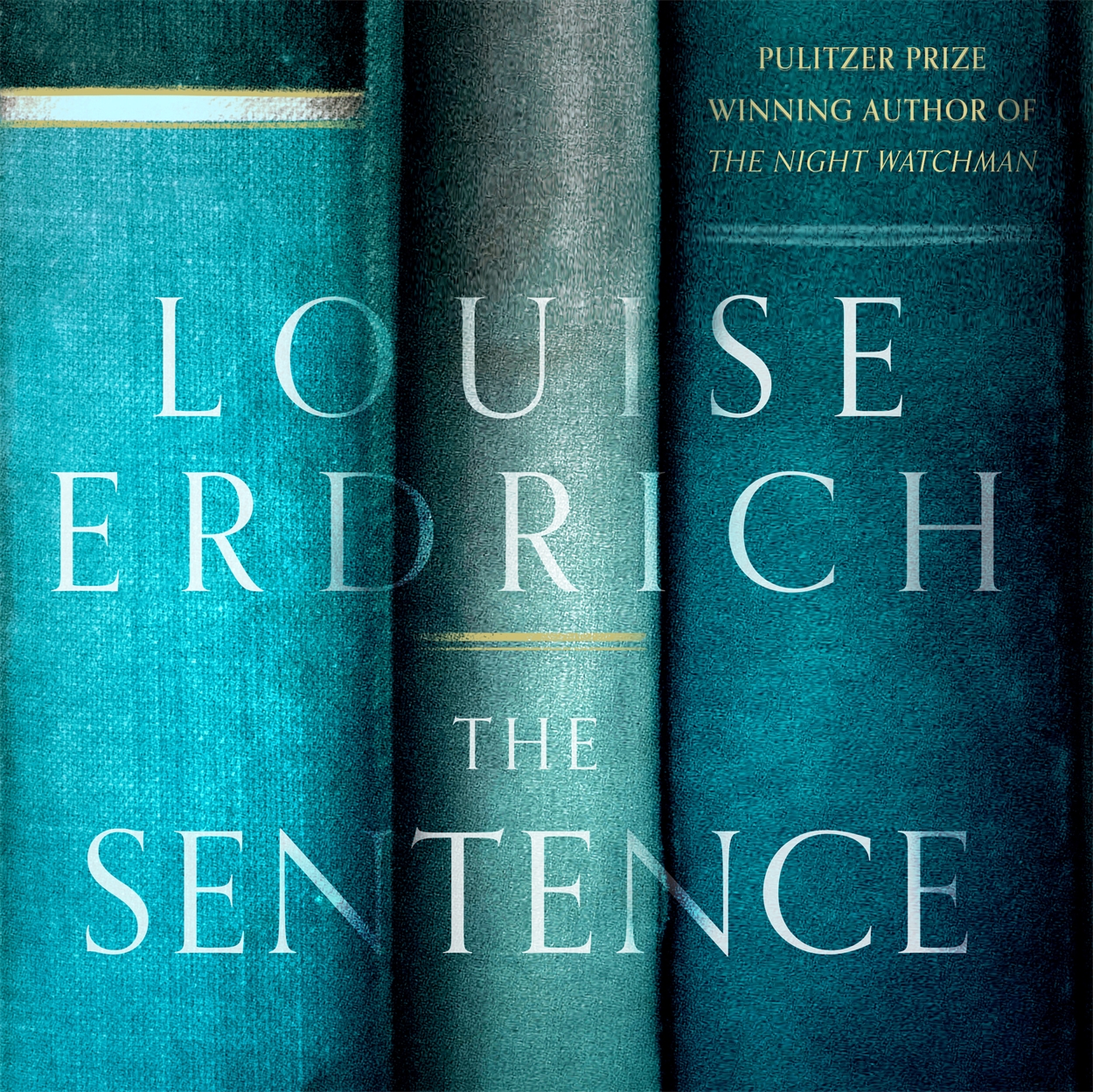 books mentioned in the sentence by louise erdrich