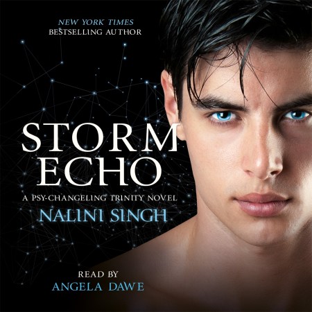 Storm Echo