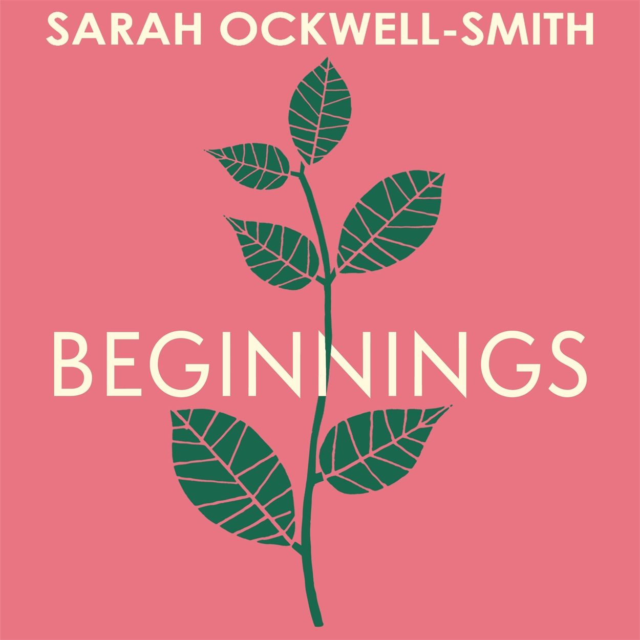 Beginnings By Sarah Ockwell Smith Hachette Uk