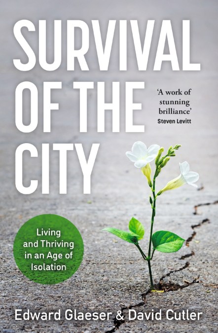 Survival of the City