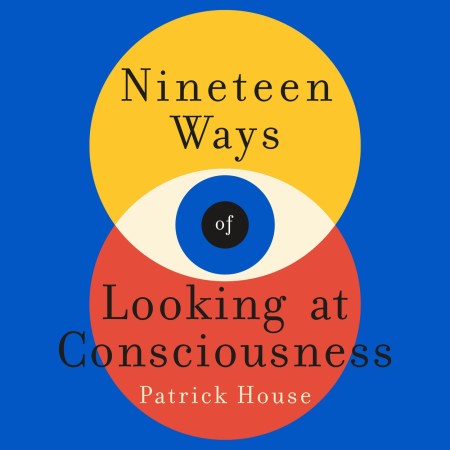 Nineteen Ways of Looking at Consciousness