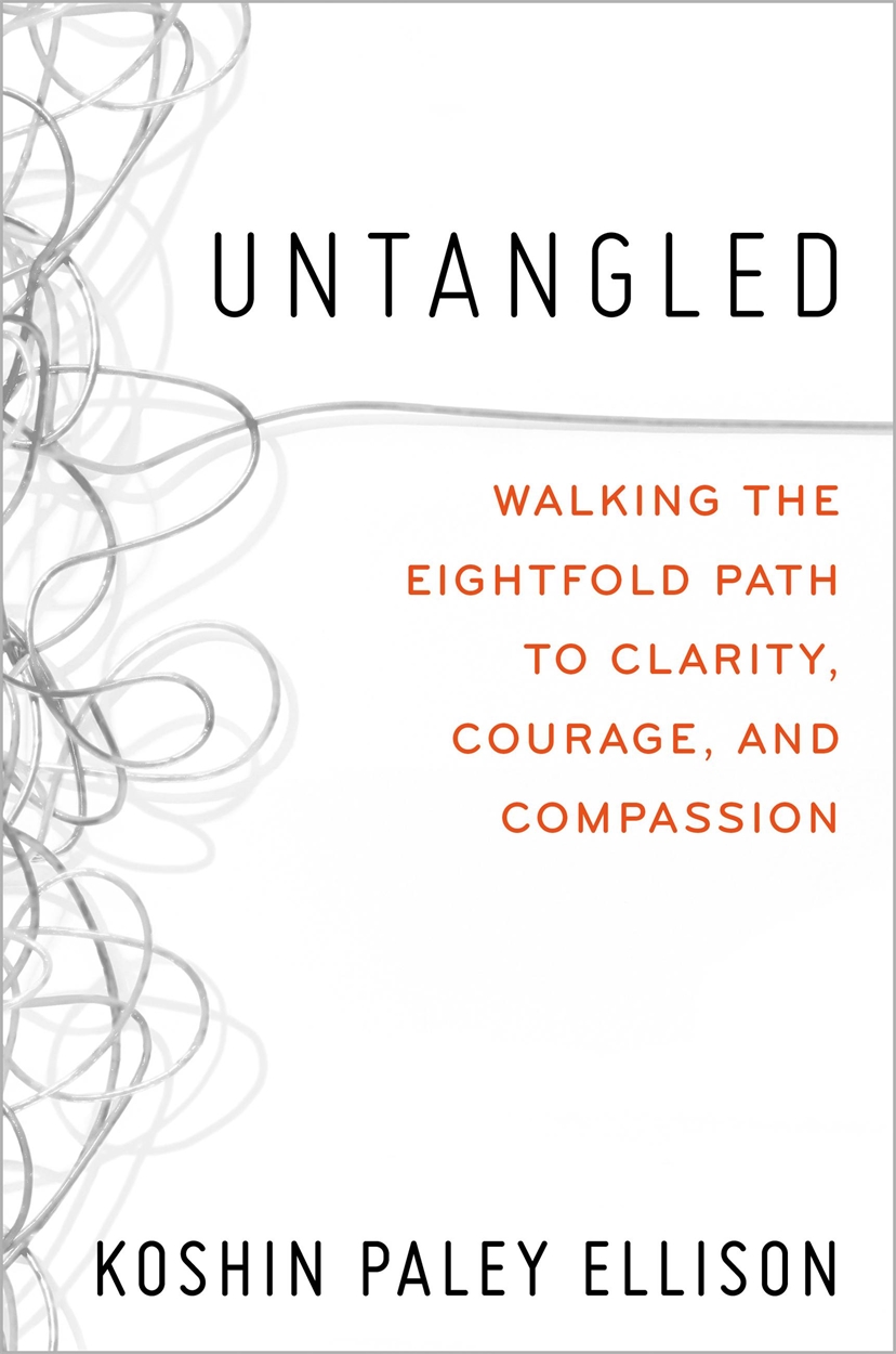 Untangled by Koshin Paley Ellison