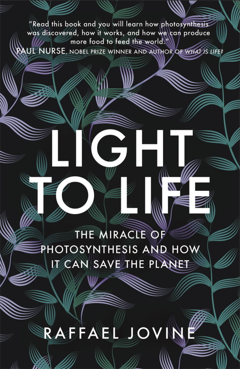 Light to Life by Raffael Jovine | Hachette UK