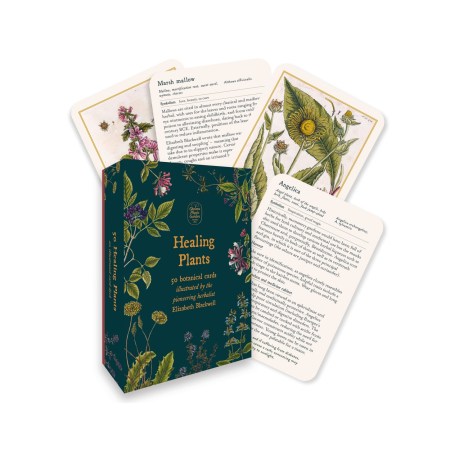 Healing Plants – A Botanical Card Deck