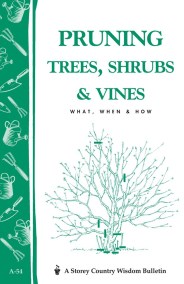 Pruning Trees, Shrubs & Vines