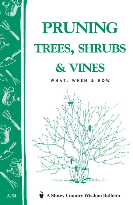 Pruning Trees, Shrubs & Vines