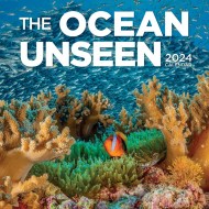 Ocean Unseen Wall Calendar 2024