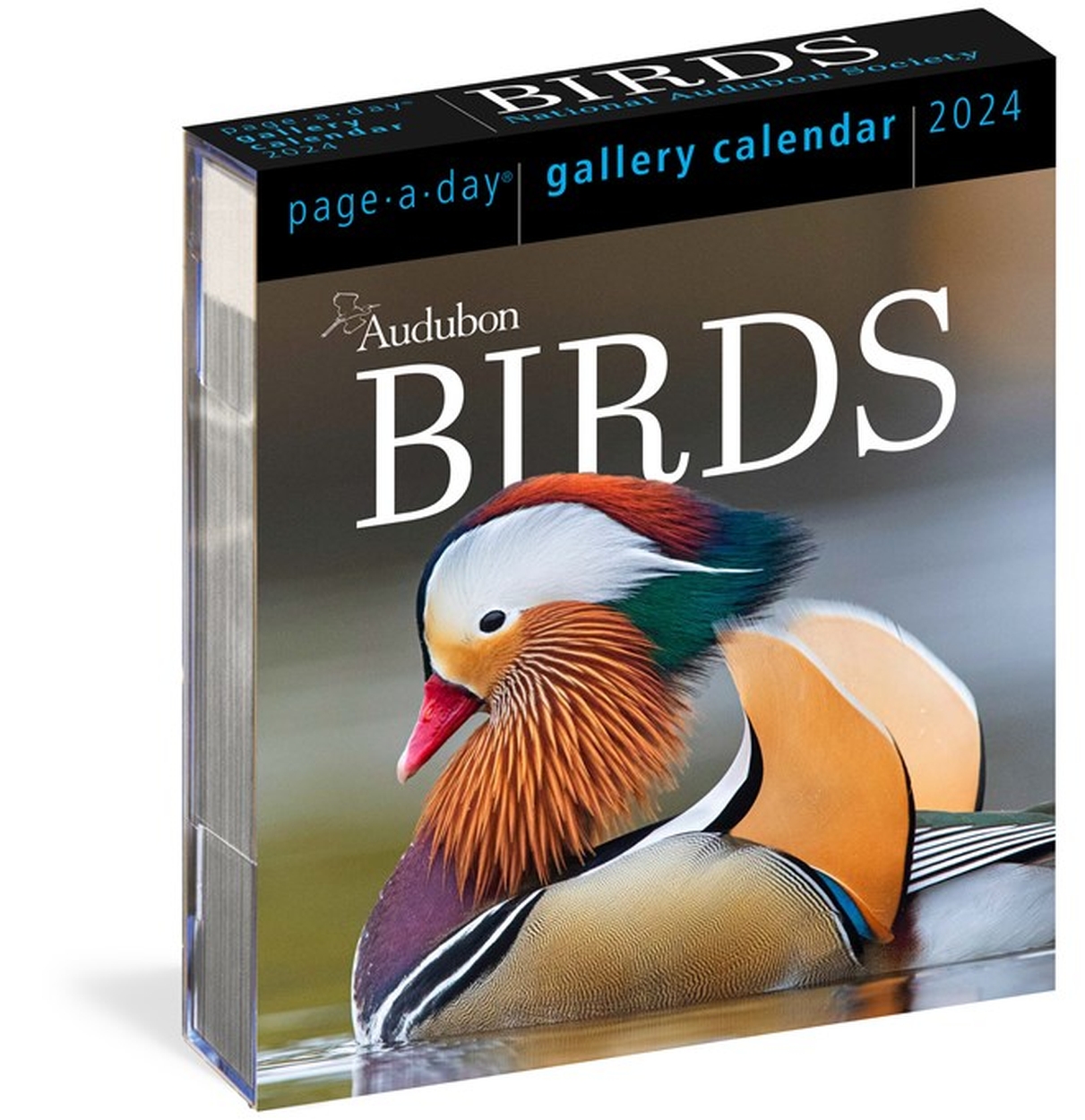 Audubon Birds PageADay Gallery Calendar 2024 by Workman Calendars