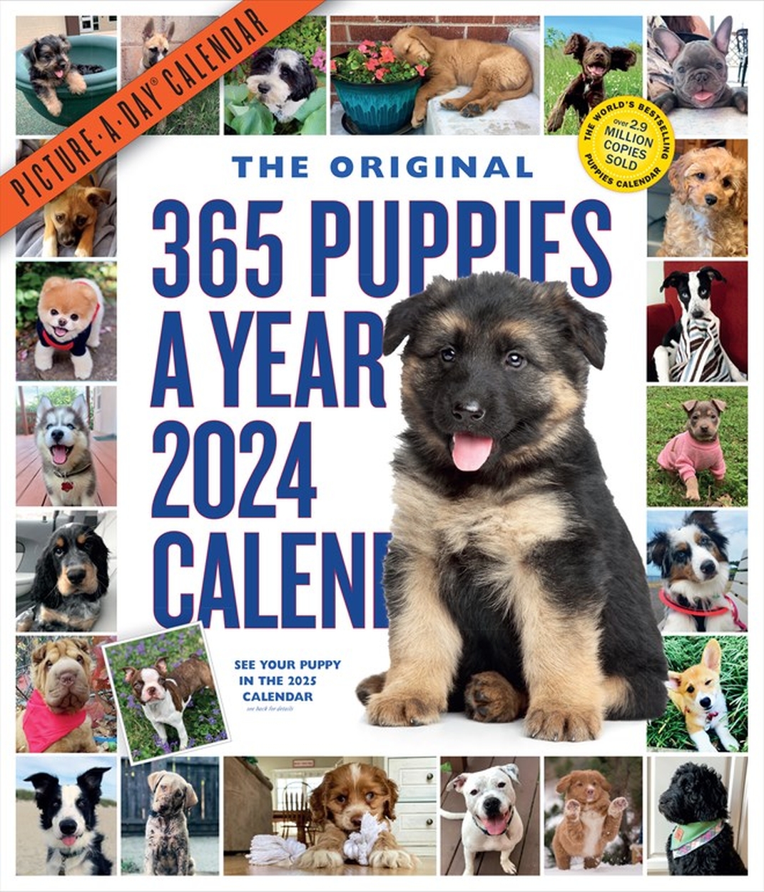 365 PuppiesAYear PictureADay Wall Calendar 2024 by Workman