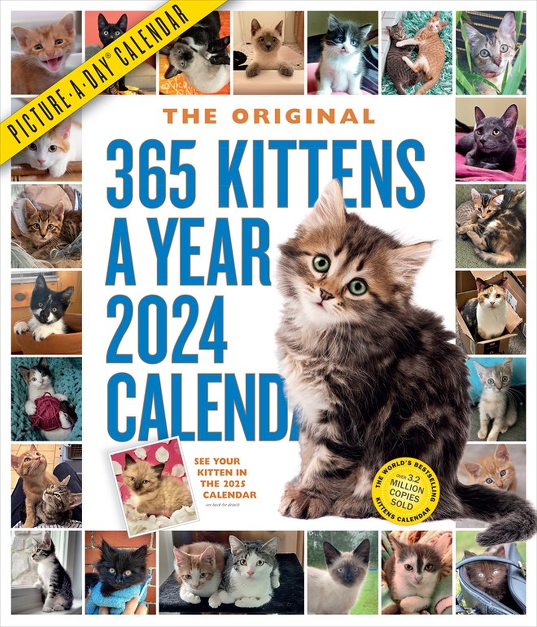 365 KittensAYear PictureADay Wall Calendar 2024 by Workman