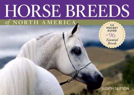 Horse Breeds of North America