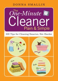 The One-Minute Cleaner Plain & Simple