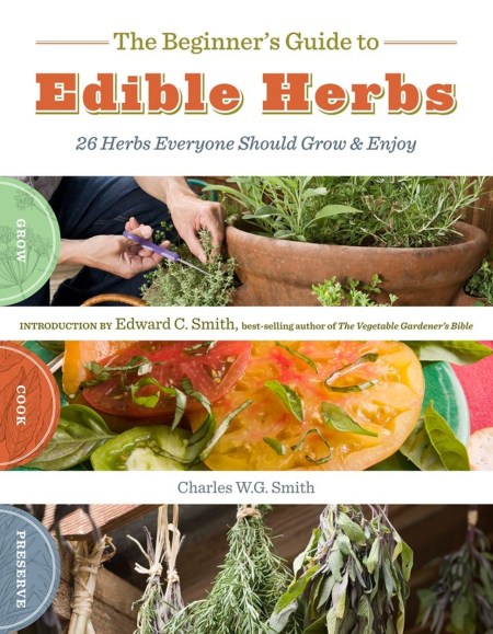 The Beginner’s Guide to Edible Herbs