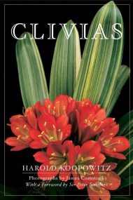 Clivias