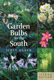 Garden Bulbs for the South