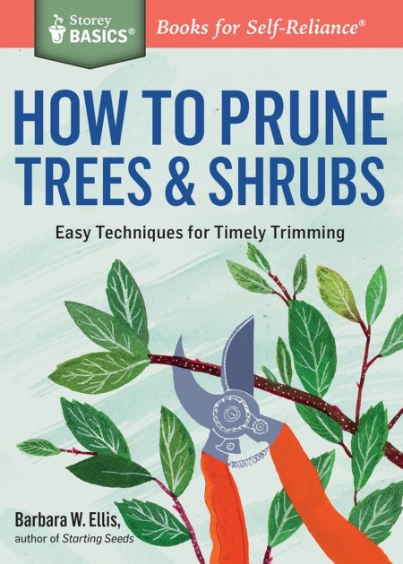 How to Prune Trees & Shrubs