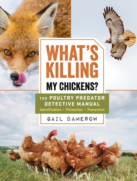 What’s Killing My Chickens?