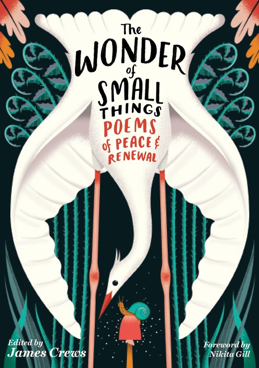 The Wonder Of Small Things By James Crews Hachette Uk 2099