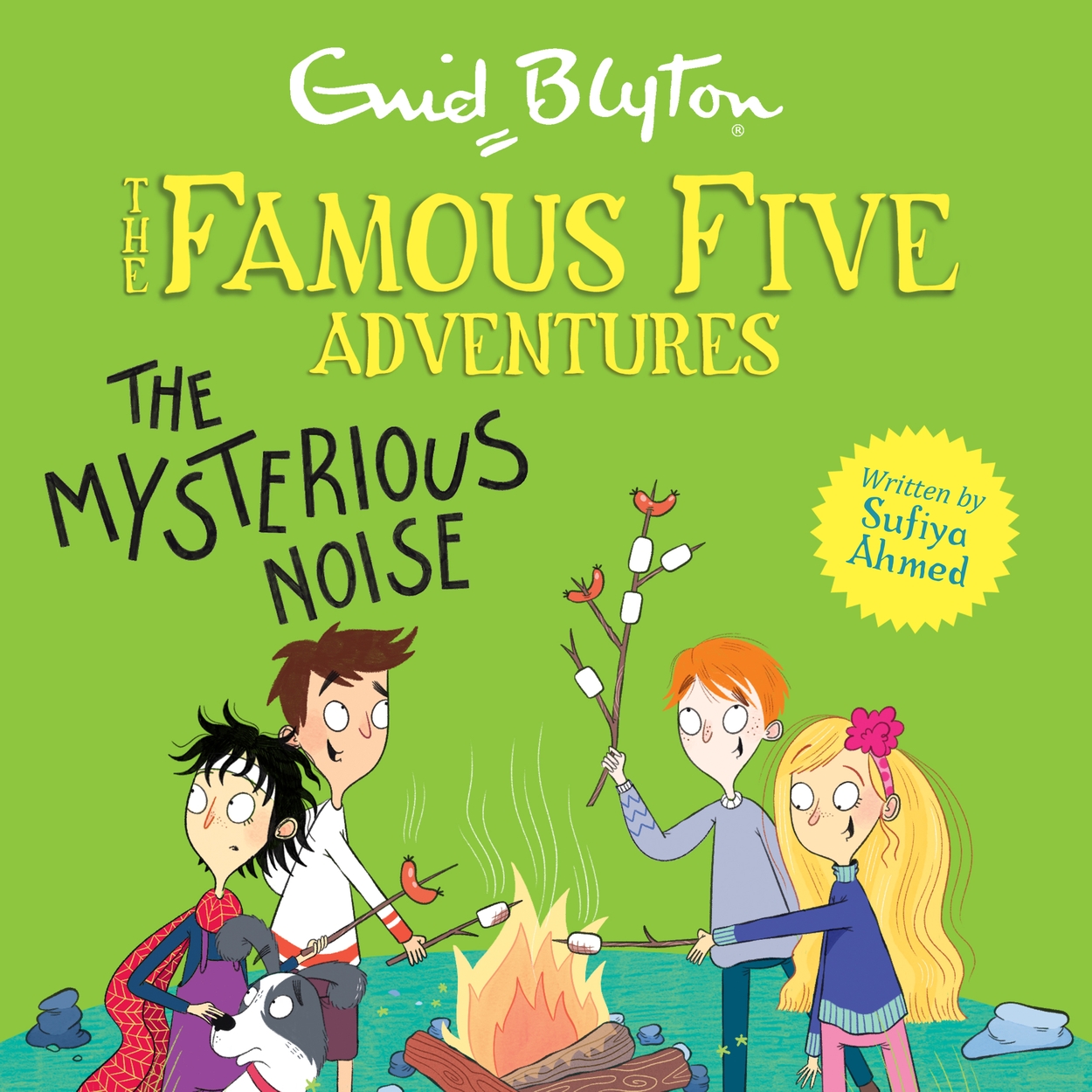 Famous Five Colour Short Stories: The Mysterious Noise by Enid Blyton ...