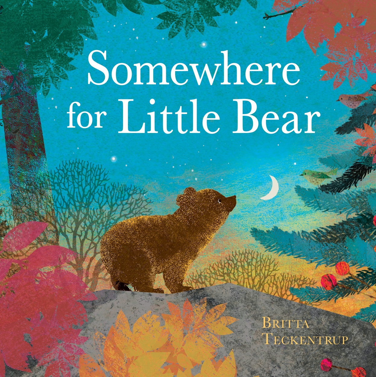 somewhere-for-little-bear-by-britta-teckentrup-hachette-uk