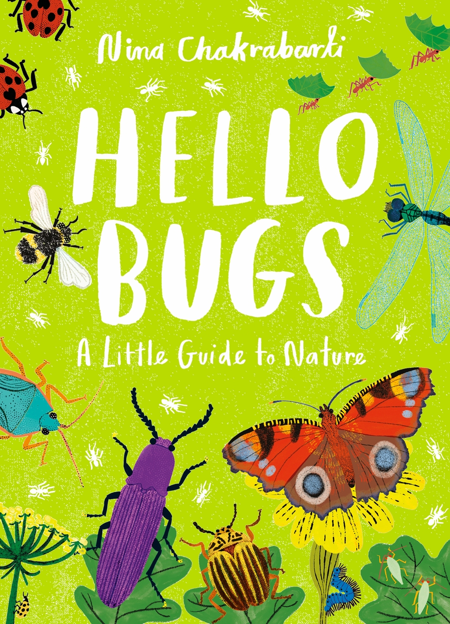 Little Guides to Nature: Hello Bugs by Nina Chakrabarti | Hachette UK