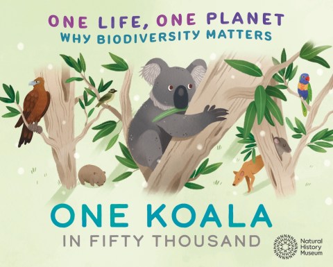 One Life, One Planet: One Koala in Fifty Thousand