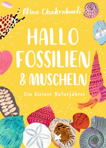 Hallo Fossilien & Muscheln