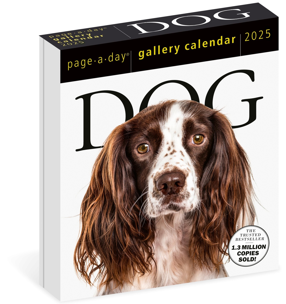 Dog PageADay Gallery Calendar 2025 by Workman Calendars Hachette UK