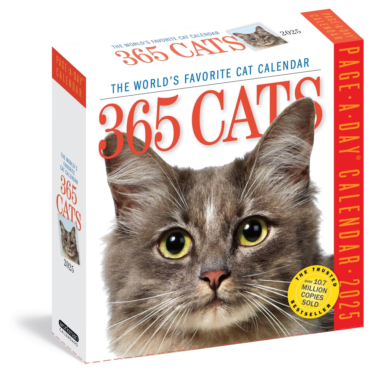 365 Cats Page-A-Day Calendar 2025 by Workman Calendars  Hachette UK