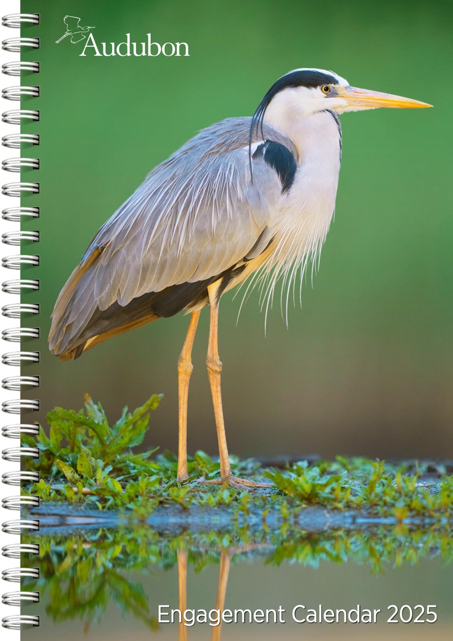 Audubon Engagement Calendar 2025 by Workman Calendars Hachette UK