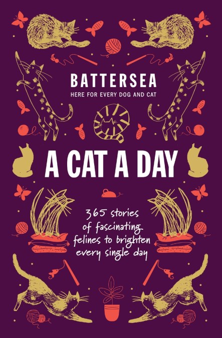 Battersea Dogs and Cats Home - A Cat a Day