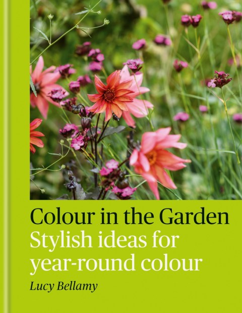 Colour in the Garden