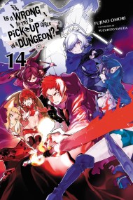 Is It Wrong to Try to Pick Up Girls in a Dungeon?, Vol. 14 (light novel)