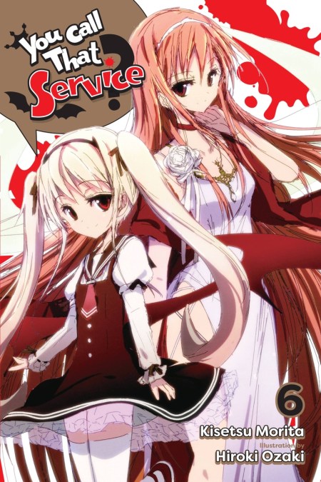 You Call That Service?, Vol. 6 (light novel)