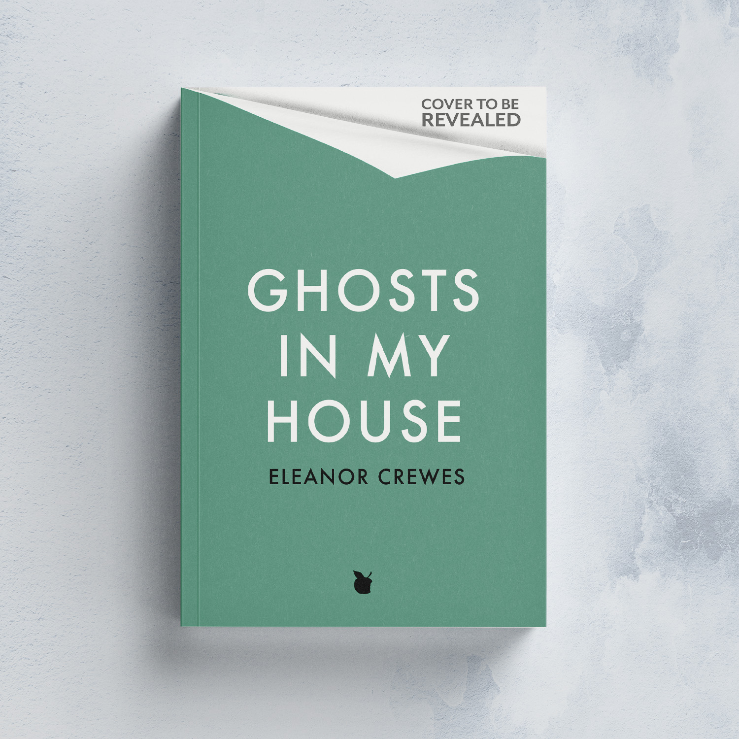 Ghosts in my house by Eleanor Crewes