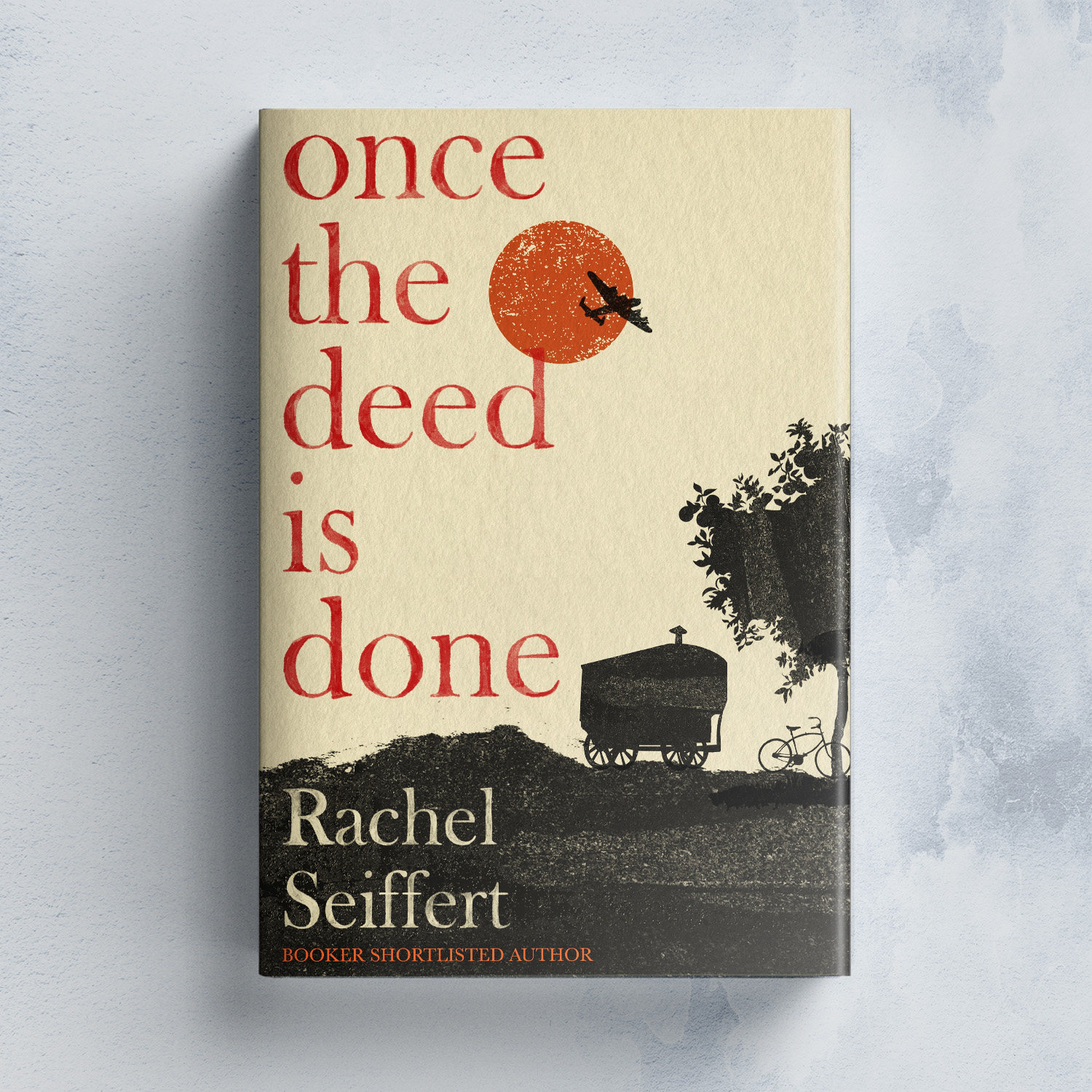 Once the Deed is Done by Rachel Seiffert